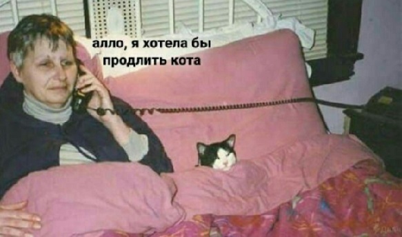 Крепость сдается?