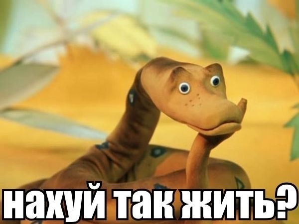 А какая ёлка стоит у вас в этом году?