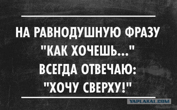 Веселые картинки в последний рабочий день уходящего года (28.12)