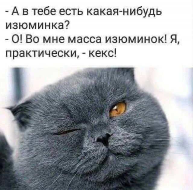 Веселые картинки в понедельник (18.08)