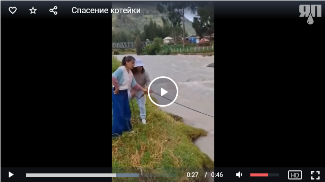 Спасение котейки