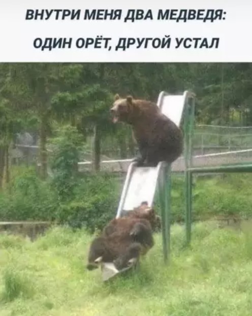 Картиночки, баянчики 22 марта