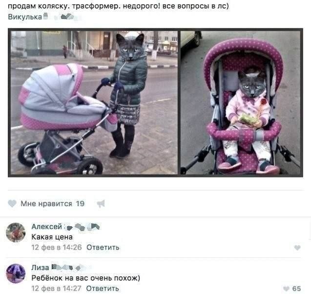 Картинки