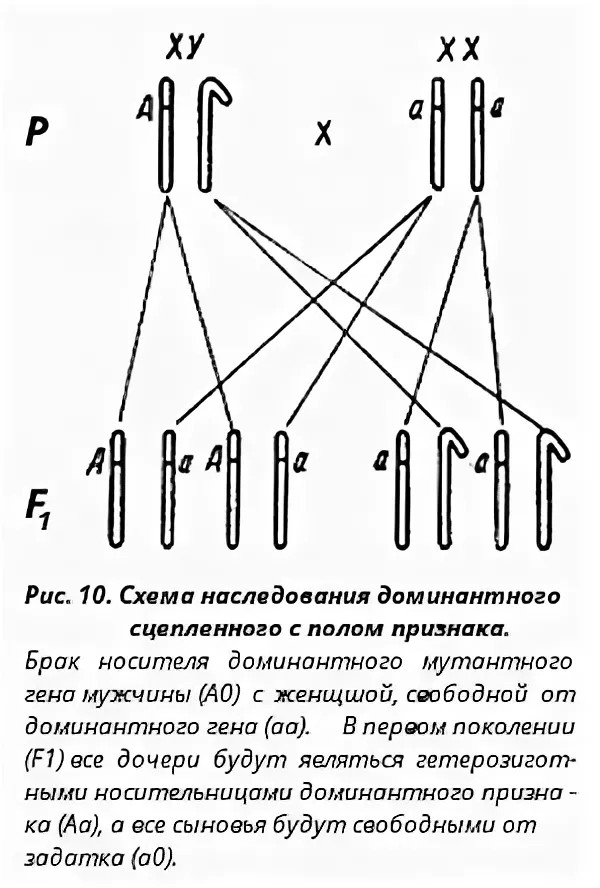 У неё есть очень большая мечта