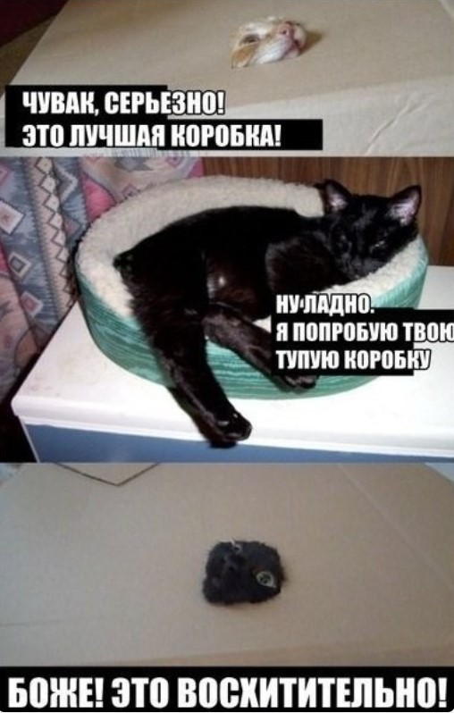 Картиночки, баянчики 06 июня