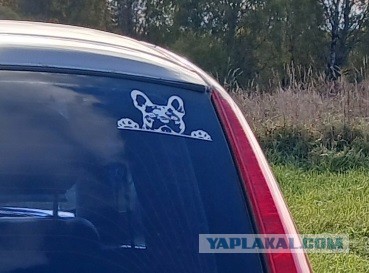 Штраф за мат на автомобиле.