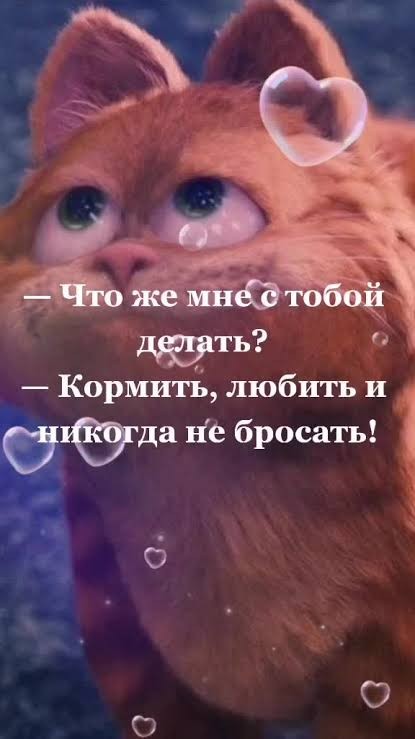 Барсик из качалки вернулся
