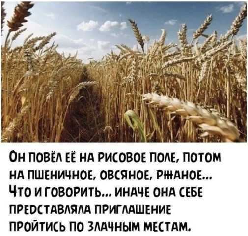 Так себе картинки 01.09.26