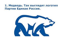 Медведь забрался в 5-звездочный отель на Красной Поляне в Сочи