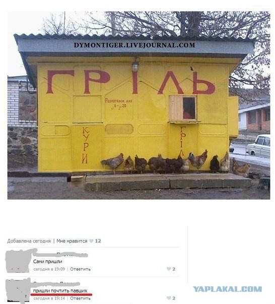 Смешные комментарии из социальных сетей