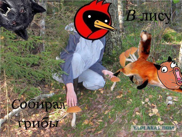 Любителям хитросплетений русского языка
