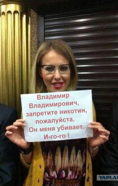 И снова о братьях нащих меньших