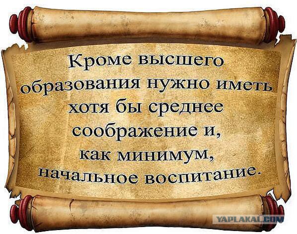 Гоблин о Майдане