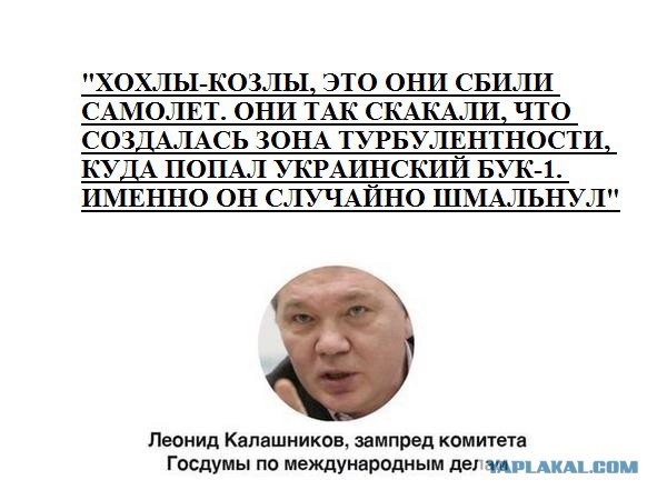 На Украине рухнул Боинг-777 малайзийских авиалиний