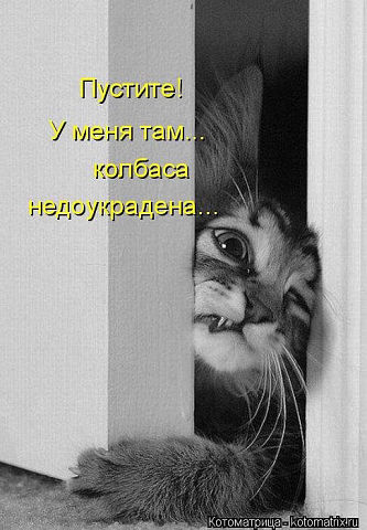 Улыбнуло часть "2"