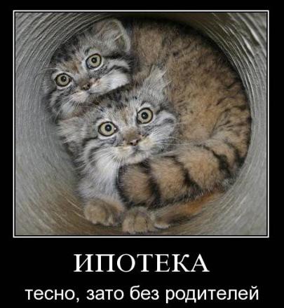 Топ 10 русских сказок