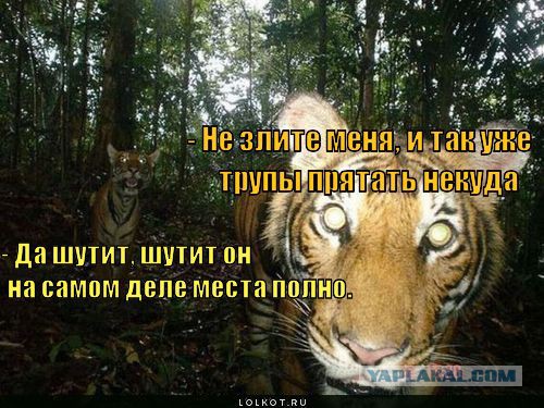 Чёрт, чёрт, чёрт!
