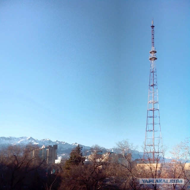 Жемчужина Казахстана! Almaty Tapok Edition