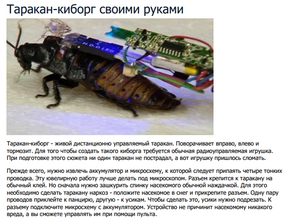 Заказ с бонусом