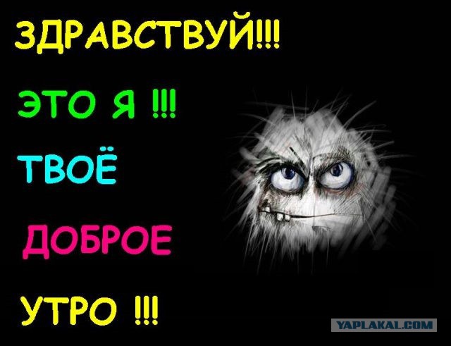 Утро доброе?