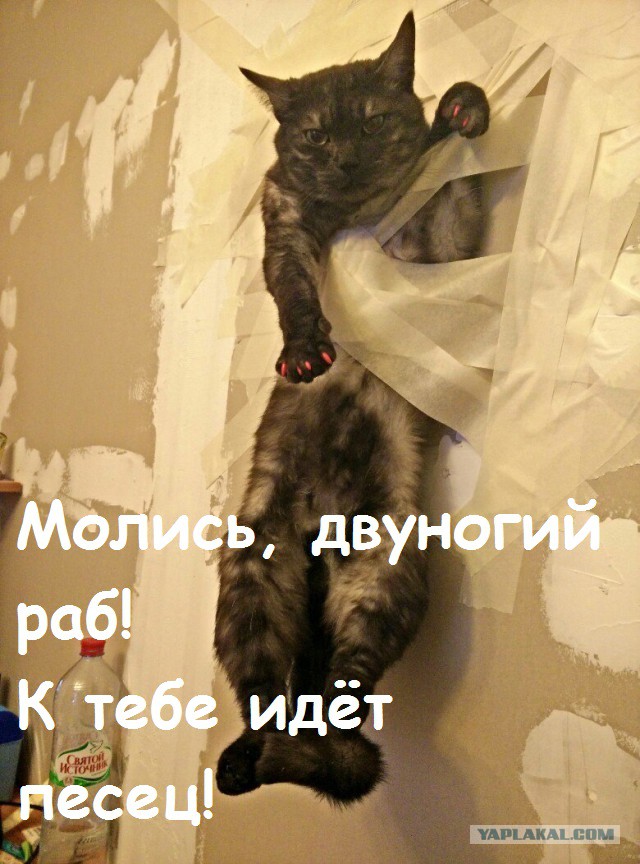 Он мешал делать ремонт..
