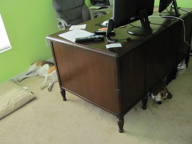 Смешные картинки, приколы, комментарии и прочее...