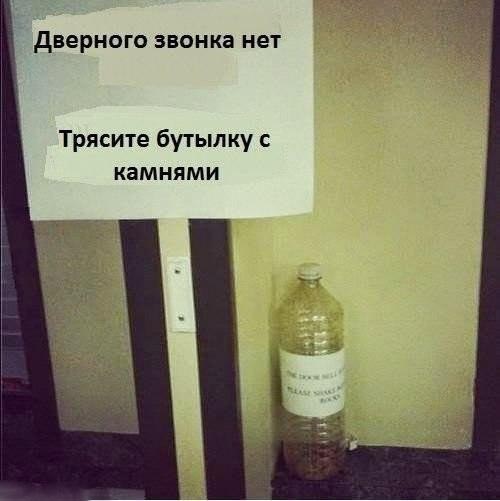 Звонок для кота