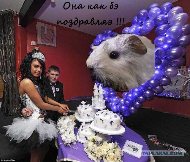 Как я сюда попал?!