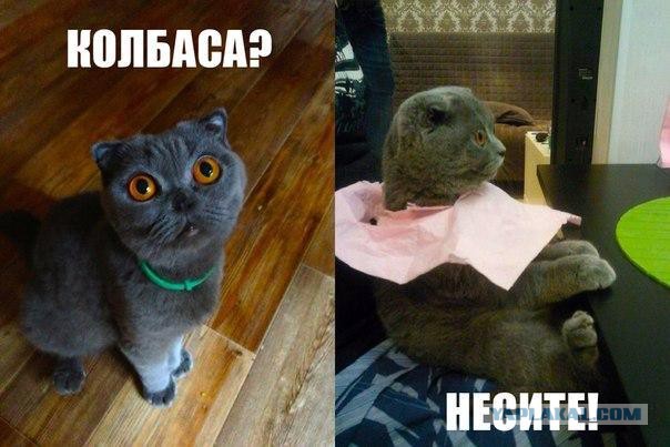 Прикольные картинки из сети
