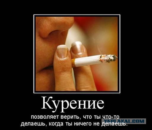 Интересные факты о разном