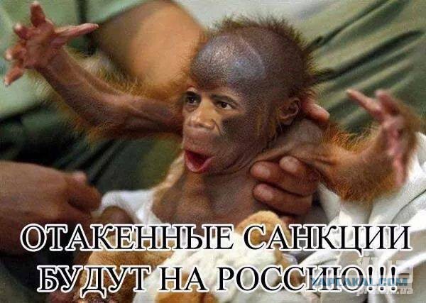 О чем это они?