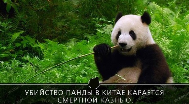 25 интересных фактов.