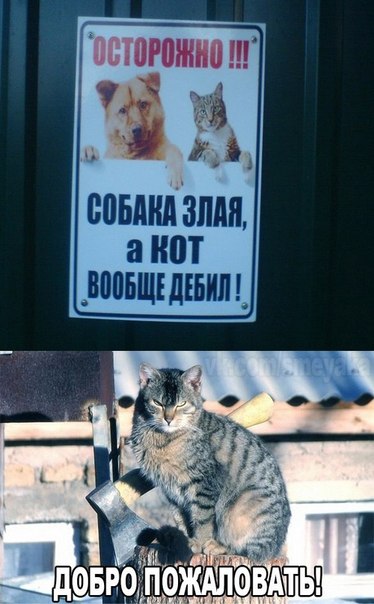 Разные картинки