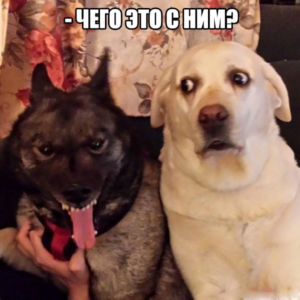 Немного картинок