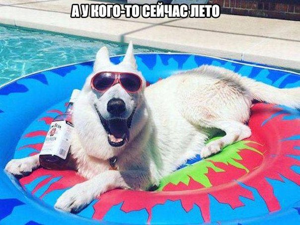 Картинки на утро вторника