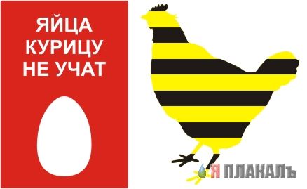 МОБИЛЬНАЯ СВЯЗЬ. Операторы, провайдеры