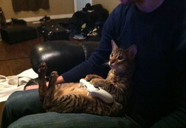 Подборка картинок