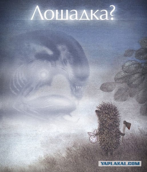 Картинки из Интернетов