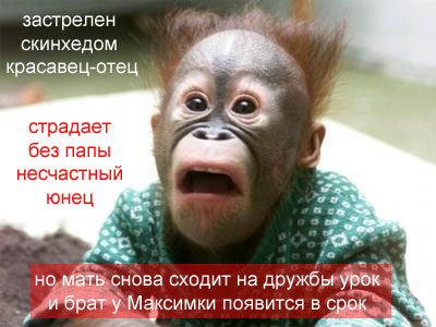 ОБЕЗЬЯНЫ. Все про обезьян