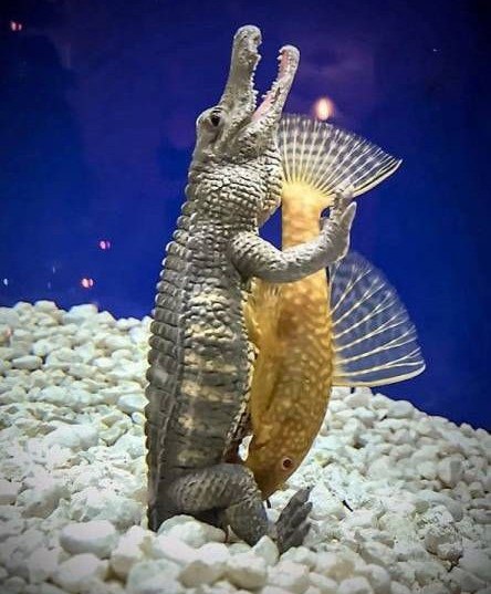 Когда Геннадий приглашает на завтрак, отказываться не принято