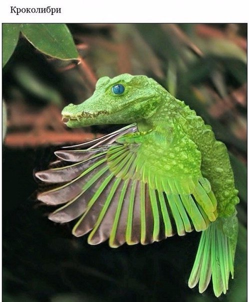 Подборка интересных и веселых картинок