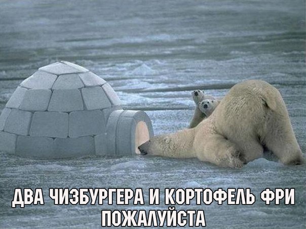 Божьи твари