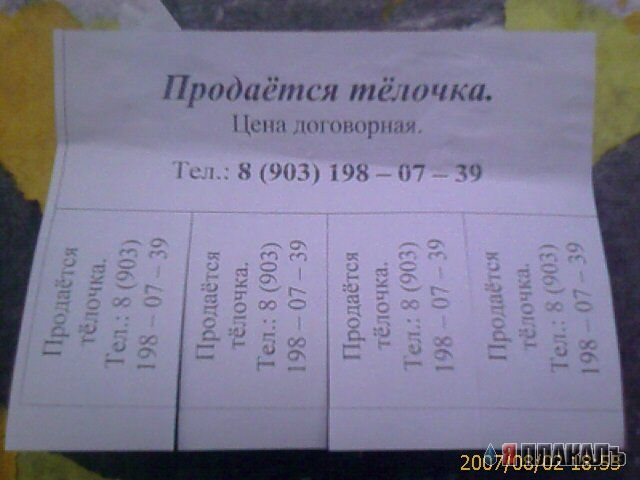 ОБЪЯВЛЕНИЯ. На стенах, в газетах, афиши.