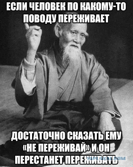 Бабы, вы совсем?