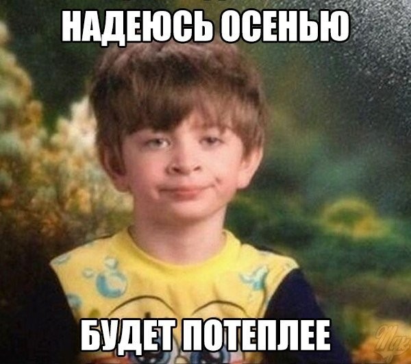 Подборка интересных и веселых картинок
