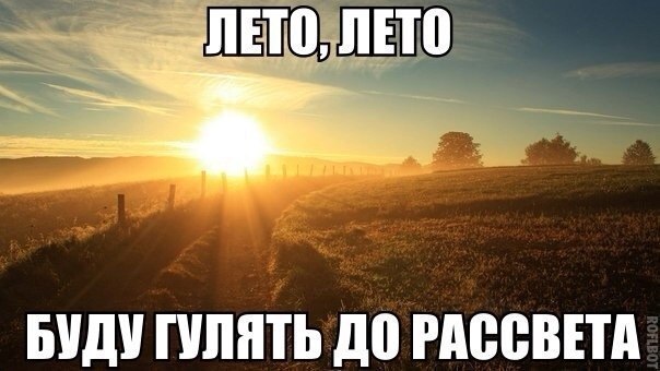 Ассорти картинок из сети