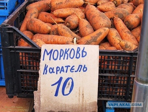 Картинки, интересные и веселые