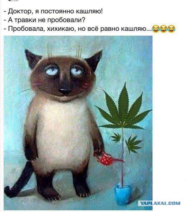 Подборка интересных и веселых картинок
