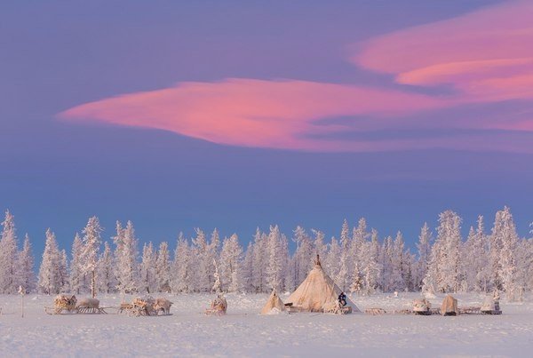 Моменты, запечатлённые на фото и просто позитив 5