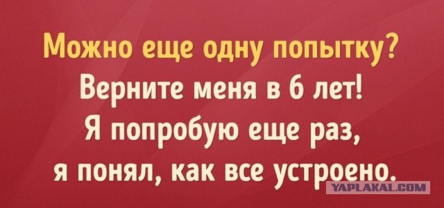 Подборка интересных и веселых картинок